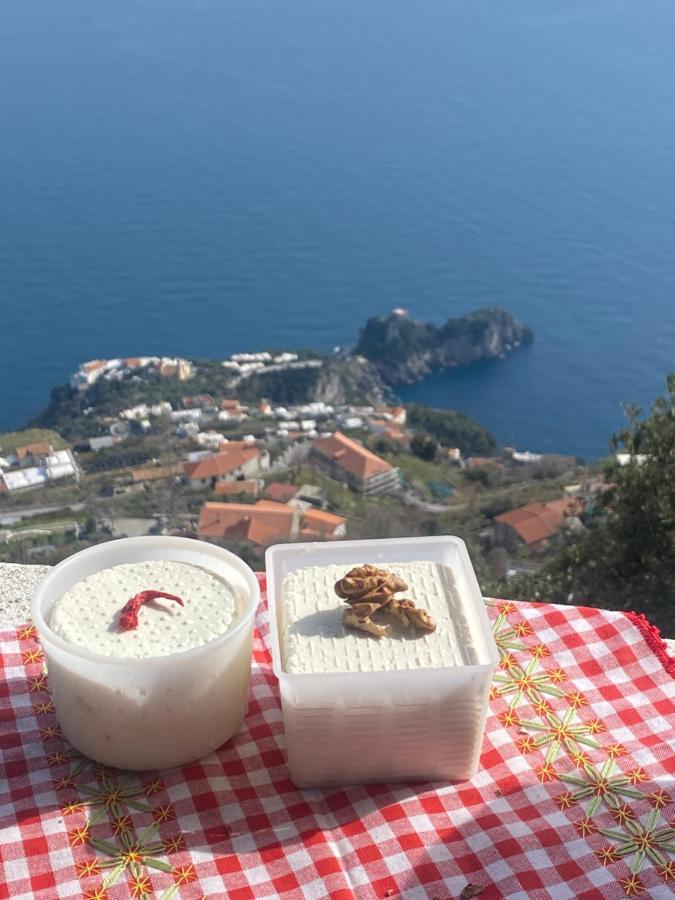 B&B Miramare Agerola Eksteriør bilde