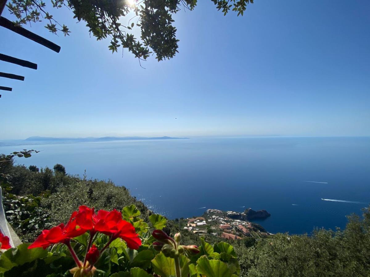 B&B Miramare Agerola Eksteriør bilde