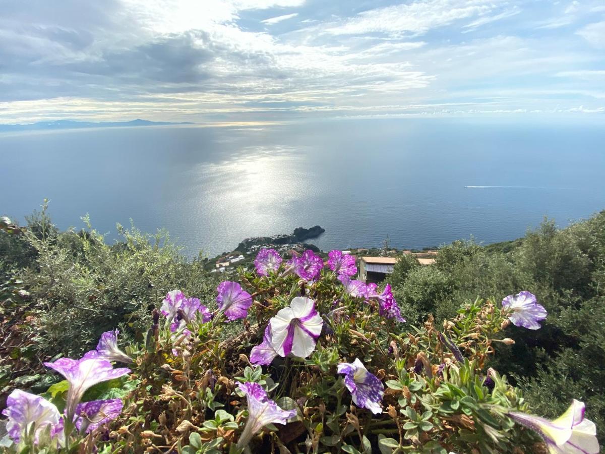 B&B Miramare Agerola Eksteriør bilde